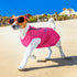 9 Pieces Printed Pet Shirts, Cute Dog T Shirts for Summer, Soft Breathable Sweatshirt for Small Medium Dogs