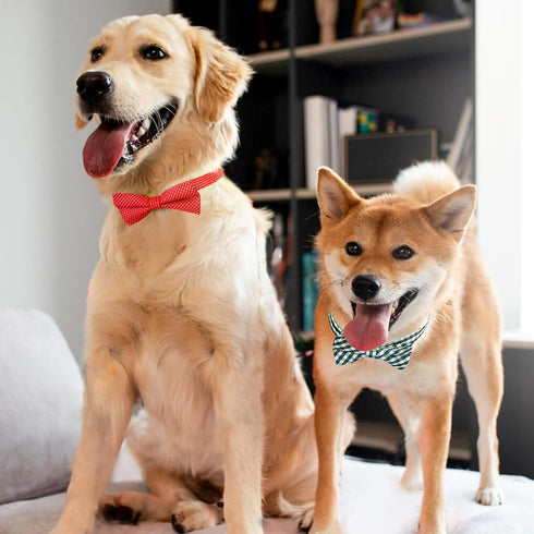 Segarty 30 PCS Dog Bowties with Adjustable Collar, Bulk Puppy Bow Ties for Small Medium Pets, Christmas Valentine