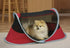 FRISKY FRIENDS Command Kid Co Peapod Portable Indoor Outdoor Travel Bed for Pets and Babies, Kids