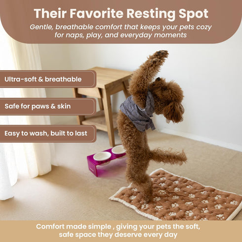 Seamless 3D 28x40 PetMat in Biscuit Beige | Organic Cotton Crate Pad for Small Dogs, Cats & Nursery | & Reversible |