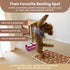 Seamless 3D 28x40 PetMat in Biscuit Beige | Organic Cotton Crate Pad for Small Dogs, Cats & Nursery | & Reversible |