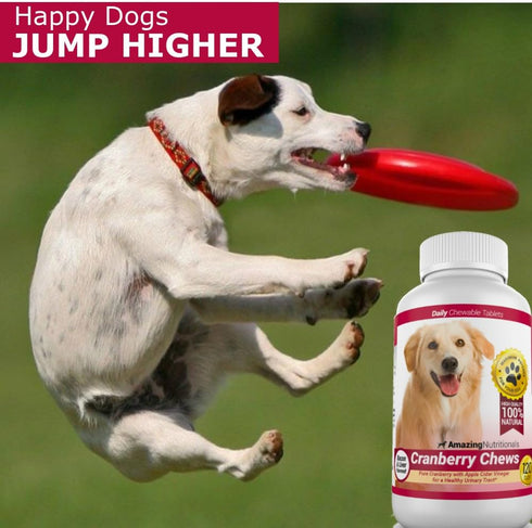 Amazing Nutritionals 120 Immune Amazing Cranberry Supplement for Dogs - Urinary Tract & Bladder Support - Cranberry