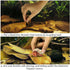 SunGrow 10 Pack Large Hermit Crab Catappa Indian Almond Leaves, 7-9 inches Long