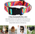 Dog Collar Pet Funny Rainbow Adjustable Collars with Tie Dye Leash - Multicolor Set for Small Medium Large Dogs