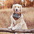 Yilad Thanksgiving Cute Turkey Dog Bandana Scarf Triangle Bibs Pet Accessories Cat Kerchief