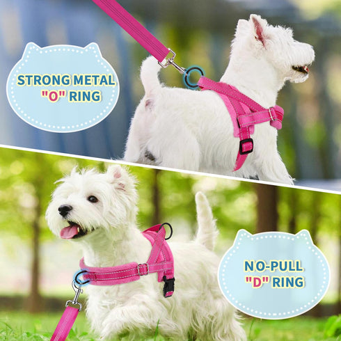 SlowTon No Pull Small Dog Harness and Leash Set, Puppy Soft Vest Harness, Reflective Lightweight Combo for Small Dogs