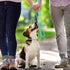 Slip Leads for Dogs, 5 FT Lightweight Rope Leash for Medium Dogs, No Pull Training Leash, Quick Put On and Take Off