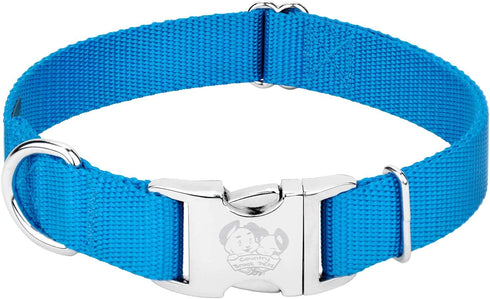 Country Brook Petz Premium Nylon Dog Collar with Metal Buckle, Large, 1 Inch, Ice Blue