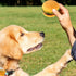 2 Pcs Bite-Resistant Dog Toys - Squeaky Chewing Toys for Tooth Cleaning, Dog Training, Hamburger Pet Toys