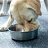 5mm Thick Stainless Steel Dog Bowls, Non-Slip with Silicone Base, 4 Cups Food Grade BPA Free, 2 Pack