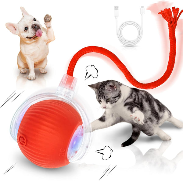 Interactive Cat Toys for Indoor Cats Smart Automatic Ball Rolling for Bored