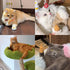 Mini Hands for Cats, 3/6Pcs Tiny Folded Hands Toy for Cats and Puppies, Interactive Stretchable Gloves