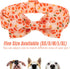 Fall Boy Dog Collar - Orange Maple Leafs Rugby Bow Tie Collar with Safety Metal Buckle for Small, Medium, Large Dogs