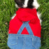 Small Pet Costume Rabbit Clothes, Ferret Hoodies Sweatshirt Bunny Vest Harness and Leash Set for Small Breeds (A, L)