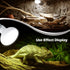 Reptile Heat Lamp 75W 2 Pack, UVA Basking Light Bulbs for Bearded Dragon, Turtle, Lizard, with Temperature Strips