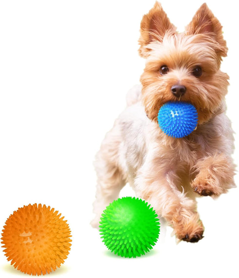CoCoo 3-Pack Squeaky Dog & Ferret Ball Toys, 2.3", Spikey Rubber Balls for Multi-Pet Homes, Toss Fetch