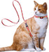 azuza Cat Harness and Leash Set - Escape Proof Adjustable Vest for Walking, Pineapple Design for Small to Large Cats