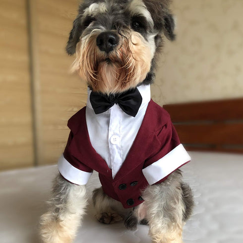 Lovelonglong Pet Costume Dog Suit, Formal Tuxedo with Black Bow Tie for Large Medium Small Dogs and Cats
