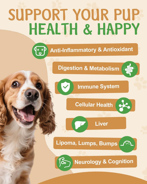 9 1 Immune in Mushroom Supplement for Dogs - Turkey Tail Mushroom for Dogs - Dog Lumps and Bumps Treatment - Digestive