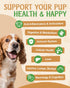 9 1 Immune in Mushroom Supplement for Dogs - Turkey Tail Mushroom for Dogs - Dog Lumps and Bumps Treatment - Digestive