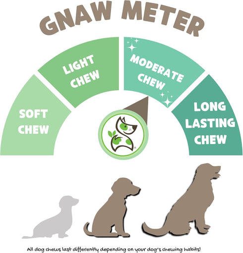 Nature Gnaws Beef Gullet Springs for Dogs, 7-8" (12 Count) - Natural Beef Jerky Stick Chew Treats