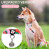 azuza Dog Collar and Leash Set - Cute Strawberry Patterns on Pink Nylon Collar and Matching Leash