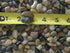 Natural Decorative River Rock Stones, Polished Mixed Pebbles Gravel for Aquariums, Landscaping, Vase Fillers (2.5 LB)