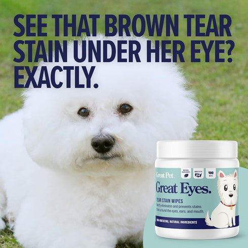 Great Eyes Tear Stain Remover for Dogs, Natural Eye Wipes, Made in The USA, 100 Wipes