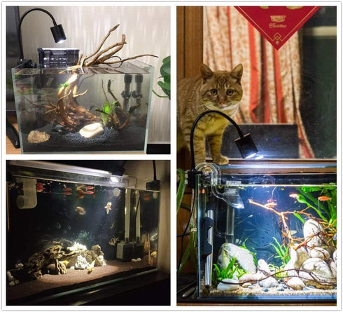 LED Aquarium Light for Freshwater Fish Tank - Vivarium Terrarium Spotlight with 3 Colors 3000K, 4000K, 6000K for