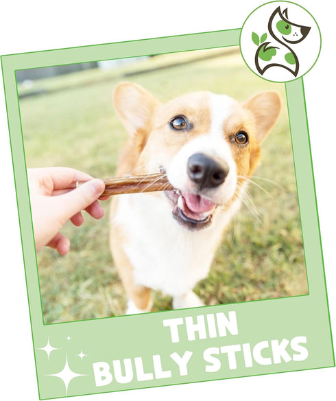 Nature Gnaws Thin Bully Sticks for Dogs 5-6" (8oz) - Mixed Thickness, Long Lasting for Small Dogs and Puppies
