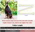 Heavy Duty Dog Choke Collar, Slip Dog P Chain Snake Collar for Small Large Dogs (Black/Gold/Silver/Rose Gold,