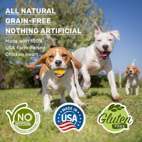 American Paws Dehydrated Chicken Hearts Dog Treats, Only One Ingredient, No Additives, Made and Sourced in USA