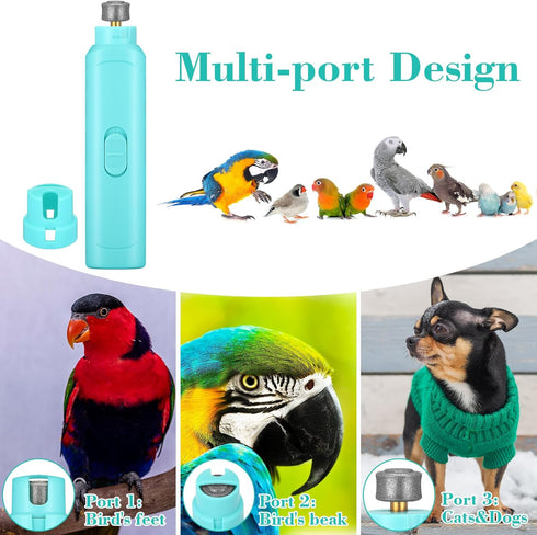 2 Trimmer Finches Lasnten Pcs Bird Nail Grinder with Clipper Bird Nail File Pet Grooming Tool for Parrot Budgerigars