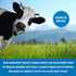 Rawhide Chips, Premium Chews, Natural Grass Fed Livestock, 3 Lbs, Improve Oral Health