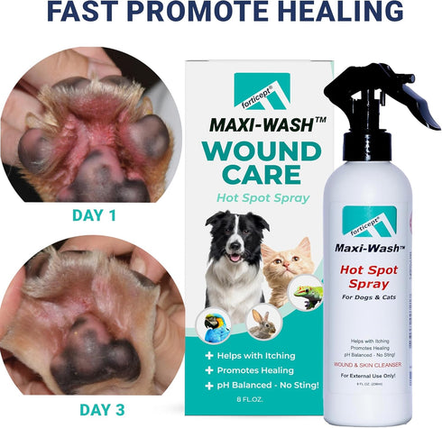 Forticept Maxi-Wash Hot Spot Spray Treatment, 8 oz Wound Care & Itch Relief Spray for Dogs and Cats