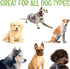 Dog Wipes for Paws, Butt, Ears, Eyes - Organic Hypoallergenic Lavender Scented Wipes, 100 Count