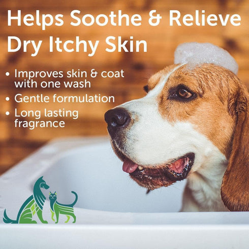 Conditions-1 Nootie Aloe&Oatmeal Pet Shampoo for Sensitive Skin-Long lasting Cucumber Melon Shampoo-Helps Relieve Dry