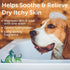 Conditions-1 Nootie Aloe&Oatmeal Pet Shampoo for Sensitive Skin-Long lasting Cucumber Melon Shampoo-Helps Relieve Dry