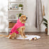 Bone Dry Pet Robe Collection, Embroidered Absorbent Microfiber Bath Robe with Adjustable Closure, for Dogs & Cats