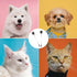 2PCS Double-Headed Dog Eye Comb, Soft Bristles for Tear Stain Removal and Pet Facial Grooming