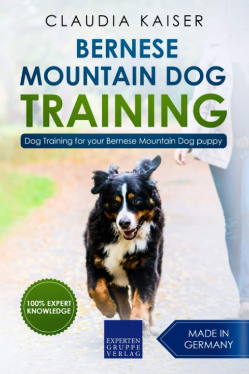 Bernese Mountain Dog Training: Effective Training for Your Bernese Mountain Puppy