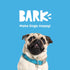 Barkbox Toy G BIV Rainbow Super Chewer Tug Toy for Aggressive Chewers with Double Reinforced Strap