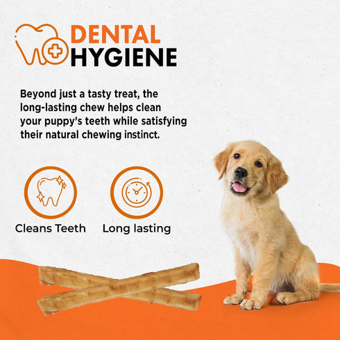 40 Pack 5-Inch Canine Naturals Puppy Chicken and Rice Chew - Rawhide Free Puppy Treats - Made with USA Chicken