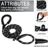 6 FT Heavy Duty Dog Leash with Comfortable Padded Handle, Reflective Threads for Small Medium Large Dogs (Black)