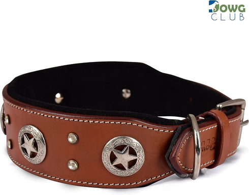 Genuine Leather Dog Collar | Saddle Grade, Full Grain, Heavy Duty for Medium, Large, XL Breeds (L, Tan)
