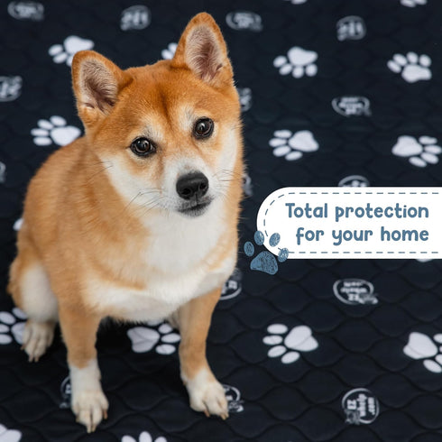EZwhelp Reusable Dog Pee Pads, Washable Waterproof Mats for Potty Training or Whelping, 39x39 Inch, 2 Pack