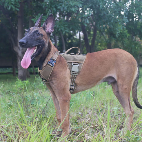 ICEFANG GN8 Quick-Moving Tactical Dog Harness with 2x Metal Buckles for X-Large Dogs, Reflective K9 Vest