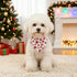 Ittokis 4 Pack Set Dog Bandana Christmas Scarf Bibs Kerchief Pet Christmas Costume Xmas Holiday Bandanas for Medium
