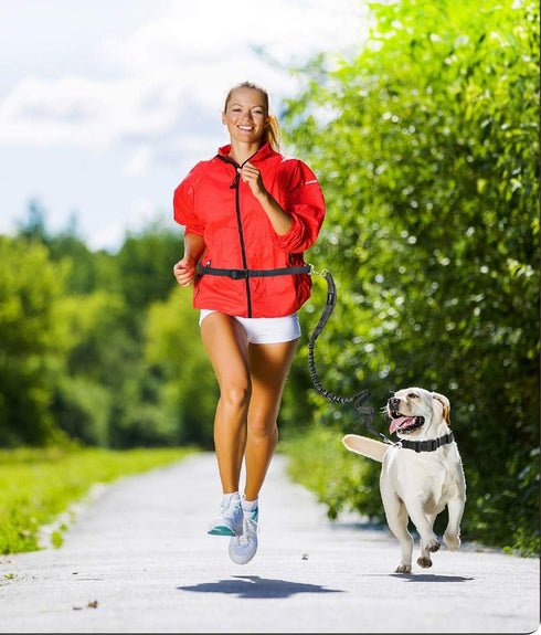 JESPET Hands Free Dog Leash, Durable Dual Handle Waist Leash for Medium & Large Dogs up to 150lbs