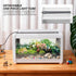 TIMBERHIDE Smart Lighting Reptile Terrarium with Timer & Dual-Mode LED/UVB - Adjustable Brightness All-in-One Habitat